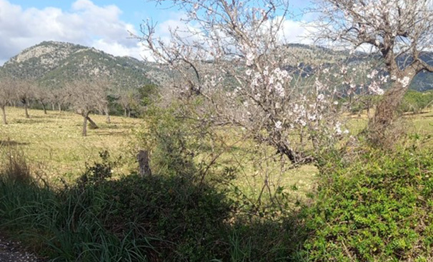 Dijous de veu i paraula